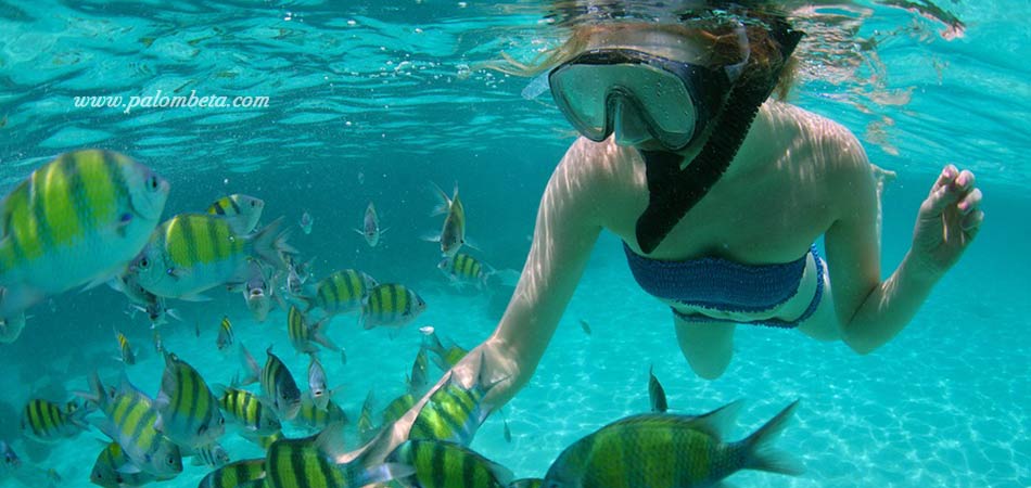 Snorkelling equipment, fruits and drinking water are included on the trips